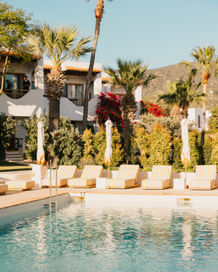Piscina del Hotel Petunia