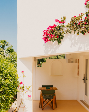 Terraza Petunia
