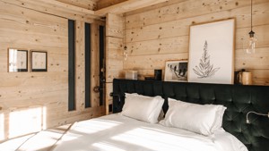 A dark green cozy bed is placed against a wooden-finished wall with two portraits above.