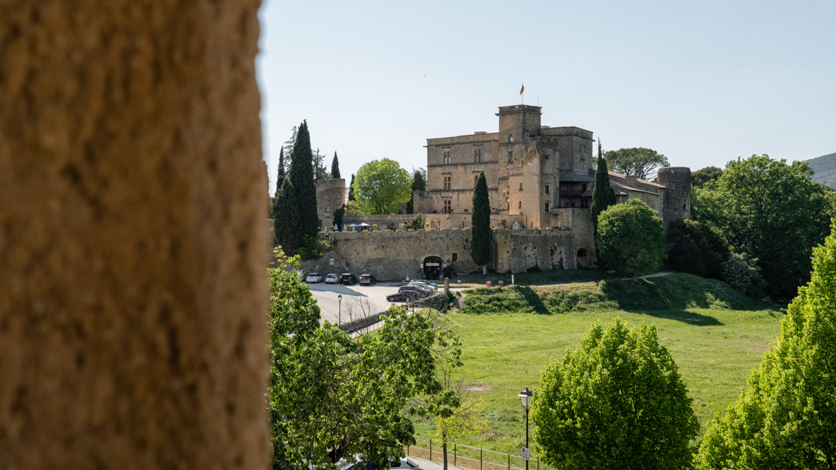 Une magnifique photo prise montre un manoir magnifiquement entouré de plantes vertes luxuriantes.