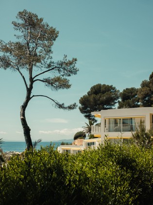 Jardin en Les Roches Rouges