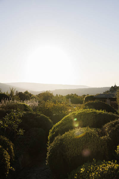 A scenic view from the terrace of La Bastide at sunset, overlooking lush, manicured garden bushes and the rolling hills of the Luberon region under a bright, hazy sky.