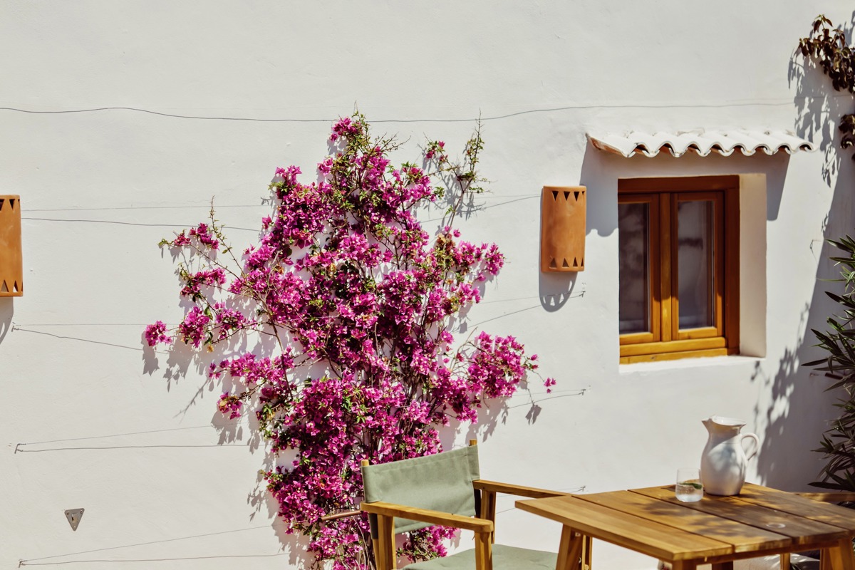Table et chaises en bois près d’un mur blanc avec bougainvillier rose, appliques et fenêtre à volets.