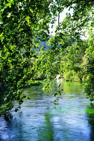 La Sorgue à L'Isle-sur-la-Sorgue, Luberon, Provence