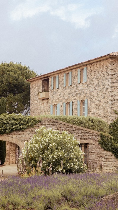 Champs de lavande en fleur à l'hôtel 5 étoiles Capelongue, Luberon Provence