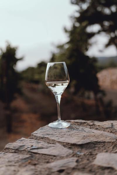 Dégustation de vin provençal dans la campagne du Luberon près de l'hôtel Beaumier Capelongue