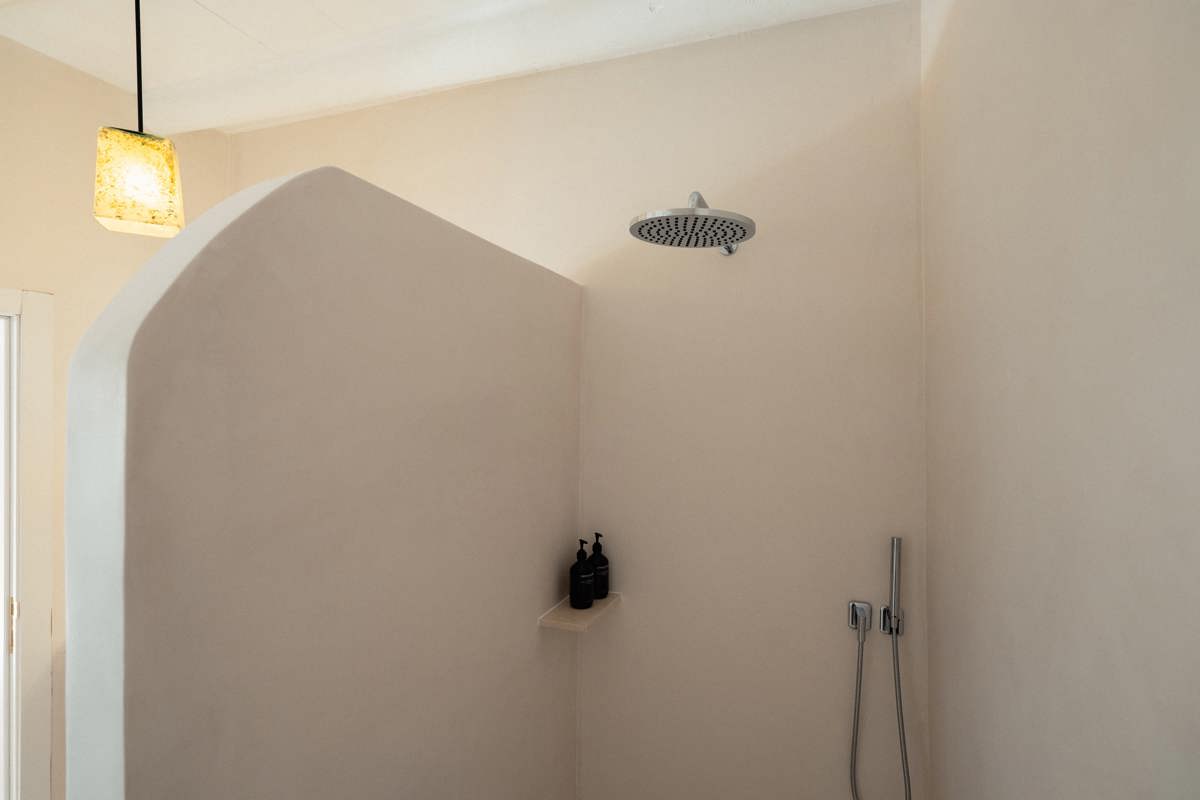 Une photo de la salle de bain présente une douche montée sur le mur latéral droit.