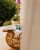Terrasse Petunia